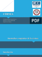 Anomalias Congenitas de La Cornea