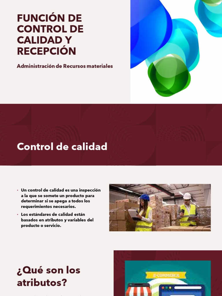 funci-n-de-control-de-calidad-pdf-calidad-comercial-almac-n