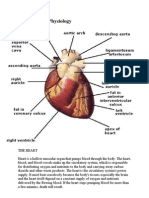 Anatomy and Physiology ASCVD