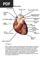 Anatomy and Physiology ASCVD