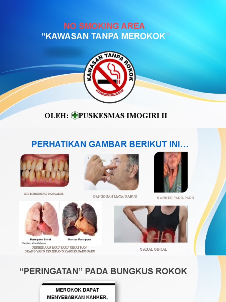 Penyuluhan Merokok | PDF