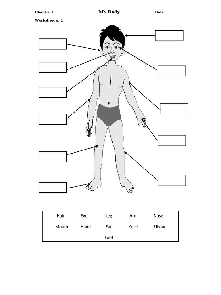 Science Worksheet Class 1 2015 PDF Senses Taste