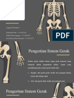 Sistem Gerak - Kelompok 3