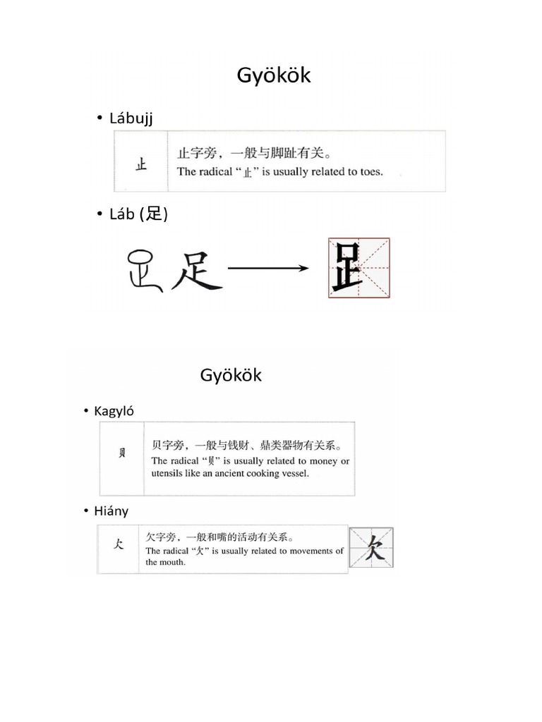 Chinese Roots | PDF