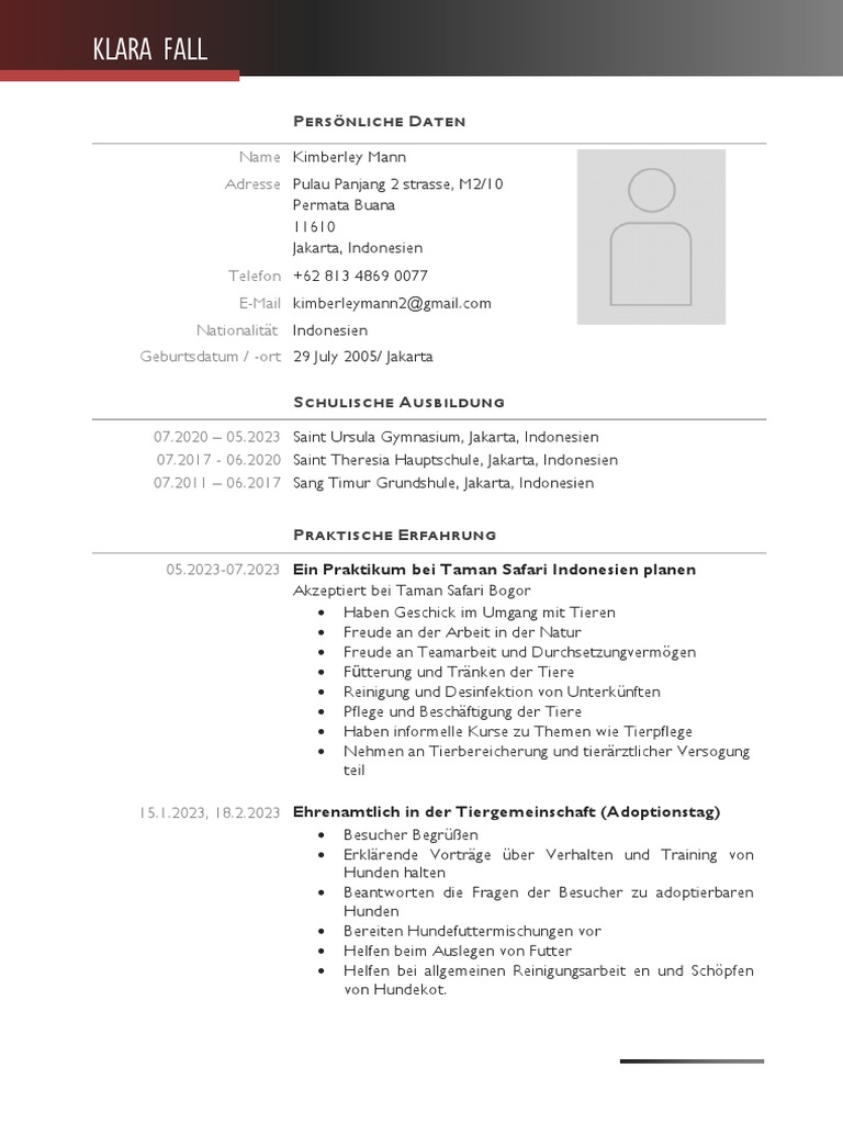 Lebenslauf mit Erklärung von Karrierepausen