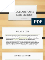 Domain Name Server (DNS)