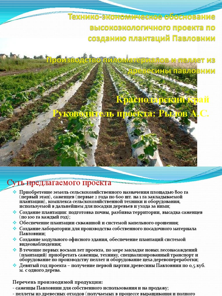 Prezentaciya Pavlovniya | PDF