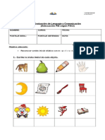 Prueba de Lenguaje Alumnas Permanentes Down Pie 2023