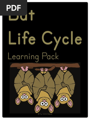 Bat Life Cycle Pack