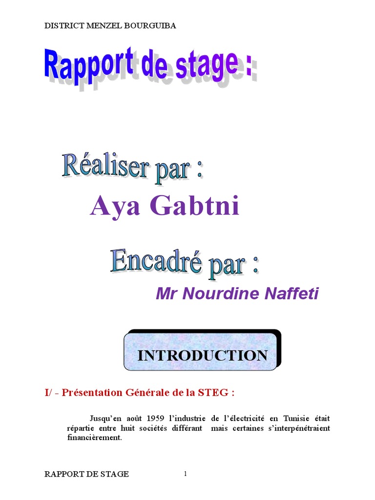 Rapport sur la STEG et le District Menzel Bourguiba | PDF | Affaires ...