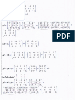 Pau de Valladolid Matriz Prob38