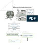 PDPR 3 Form 3 2022