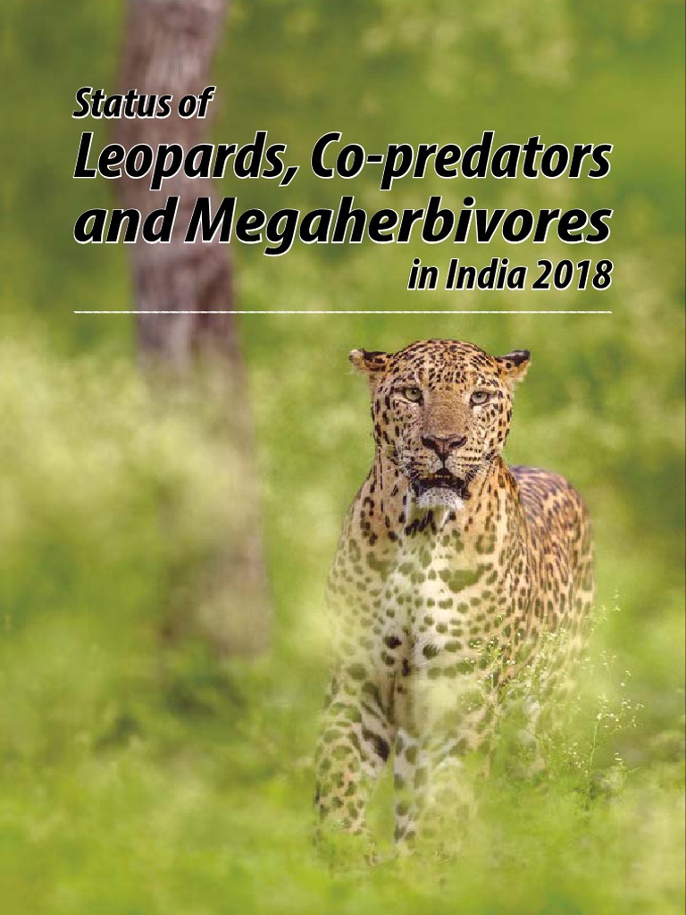 Status Leopard Report 2018 Web PDF