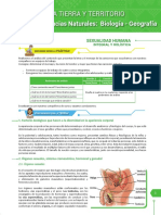 2do. Año de Educación Secundaria Comunitaria Productiva-7-86