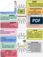 Esquema Mapa Conceptual Doodle Multicolor