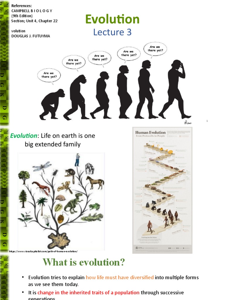 Lecture 3 Evolution | PDF