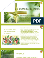 Celebración Domingo de Ramos