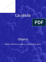 La Celula 2