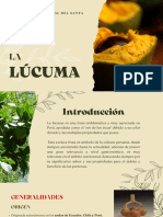 La Lúcuma - Pouteria Lucuma