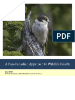 EN - PanCanadian Approach To Wildlife Health Final