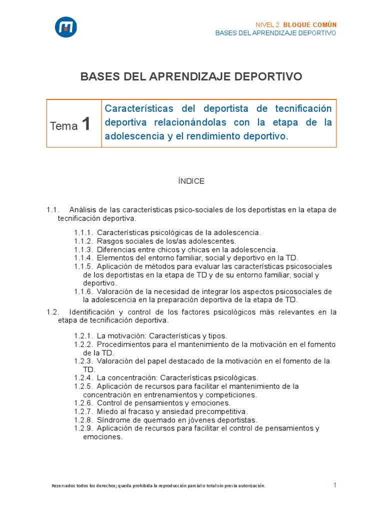 Tema 1 - P | PDF