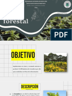 Vivero Forestal PrisilaHE