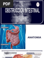 Ángulo de Treitz: Anatomía y Ubicación | PDF