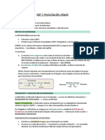 Fisiología Del Hígado