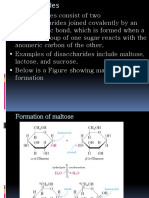 HBB 2116 Carbohydrates 2