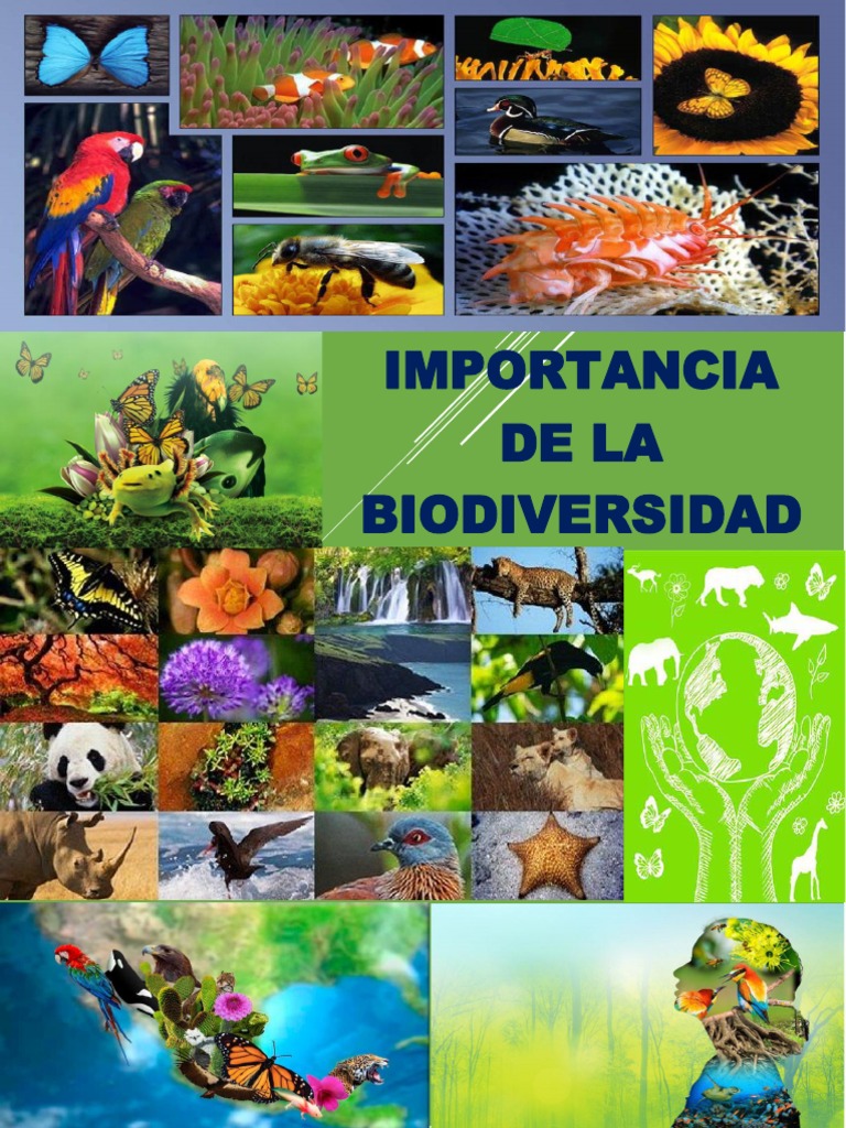 Importancia de la Biodiversidad | PDF | Biodiversidad | Evolución