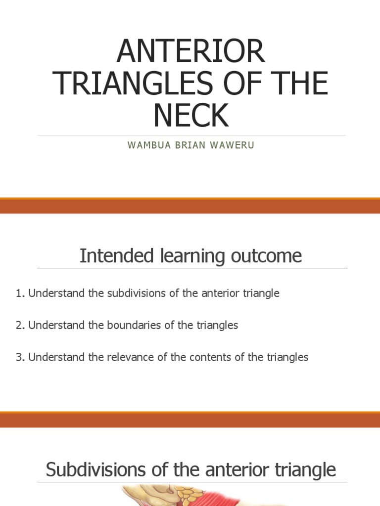 Anterior Triangles of The Neck PDF