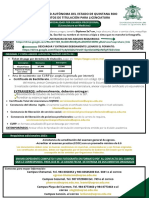 Examen Profesional