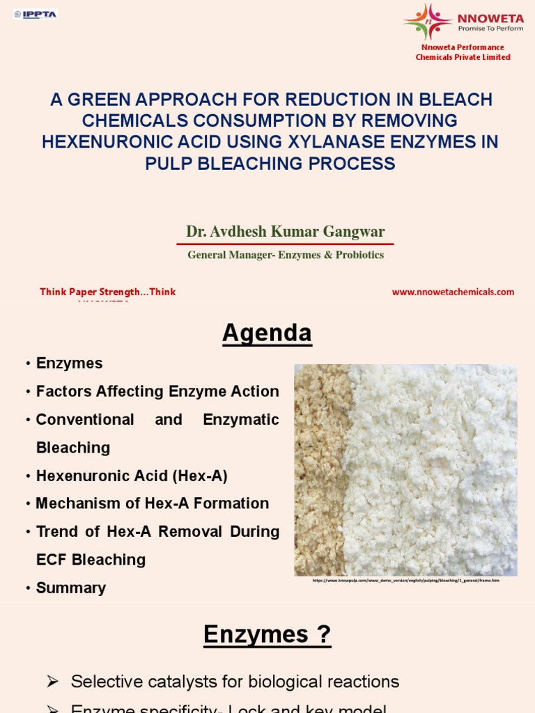 Enzyme Bleaching DrAvdhesh 230404 171649 PDF