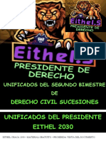 Unif. Derecho Civil Sucesiones 2b - Eithel