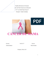 Ante Proyecto Cancer de Mama