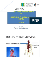 Unahur Fal Columna Cervical