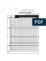 Formato de Informe Mensual