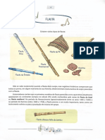 Flautas - PDF