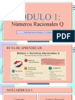 Módulo 1 - Números Racionales