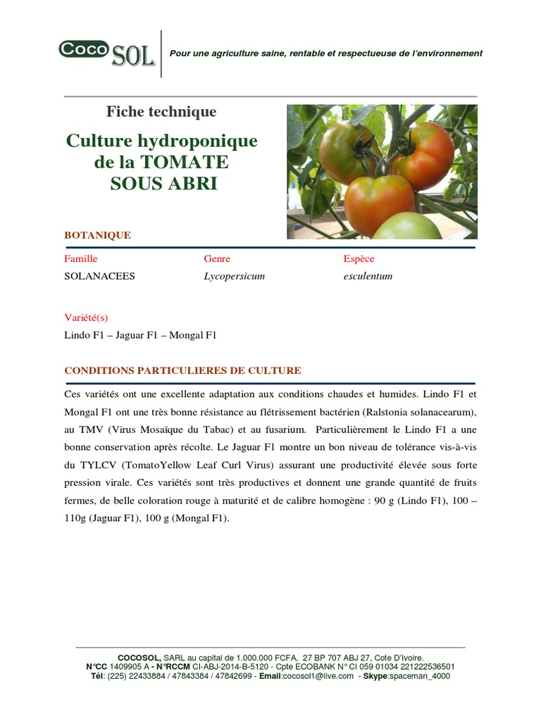 Fiche technique culture tomate hors sol PDF Tomate Agriculture — free download