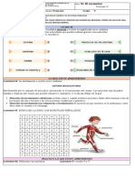 2° Sistema Muscular