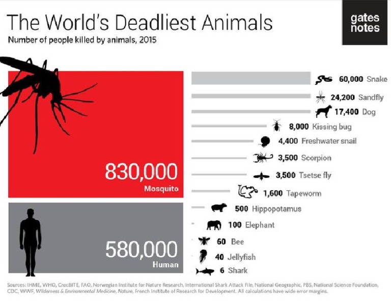 World Deadliest Animals | PDF