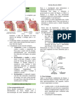 Anatomia Deglutição
