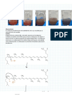 Lab Oratorio