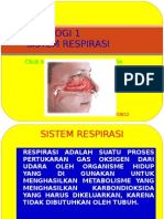 Power Point Fiologi 1 Respirasi