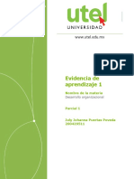 Desarrollo Organizacional EA Parcial 1 P