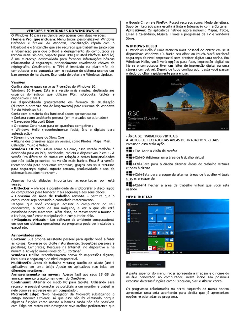 Sistemas Operacionais | PDF | Linux | Windows 10