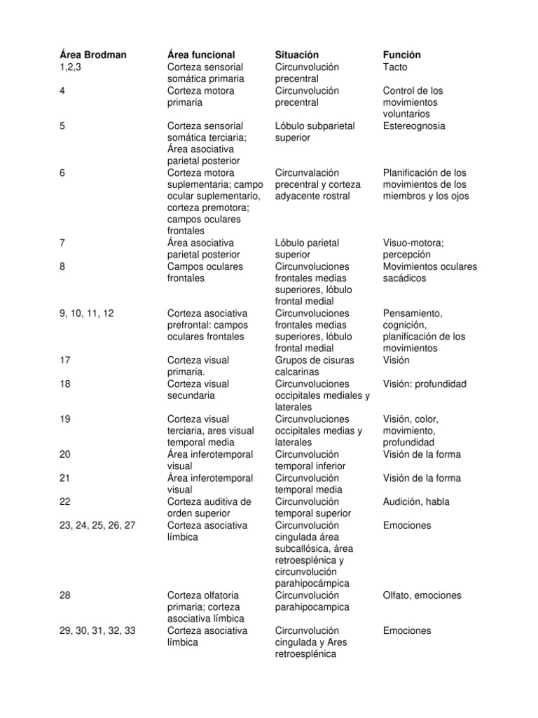 Áreas de Brodmann - Editado | PDF | Lóbulo temporal | Lóbulo occipital