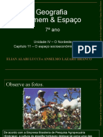 Geografia Homem & Espaço: Unidade IV - O Nordeste Capítulo 11 - O Espaço Socioeconômico Nordestino