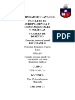 Derecho Procesal Penal y Su Relacion Con Las Demas Ramas Juridicas